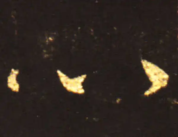 王献之·草书·心