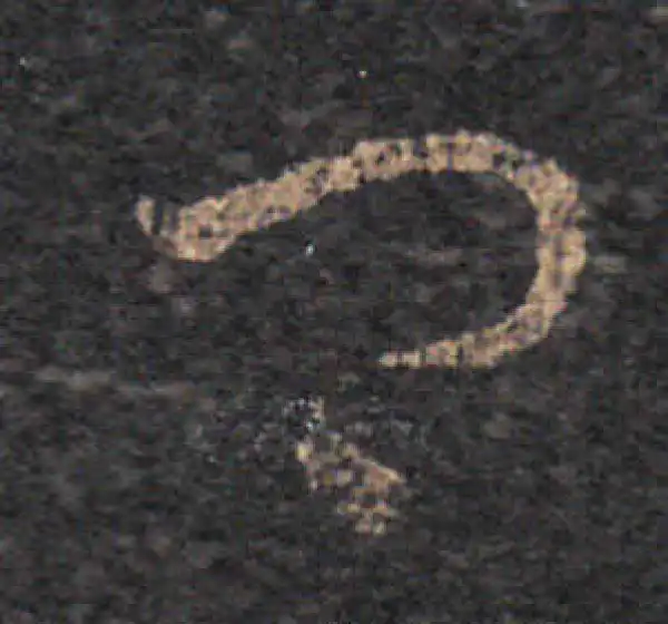 王羲之·草书·卿