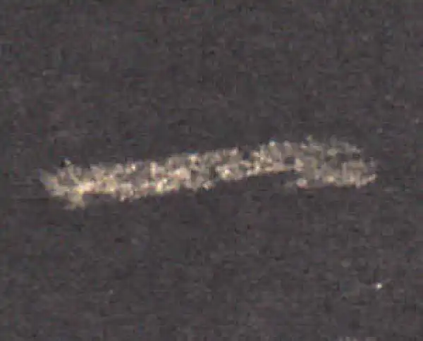 王羲之·草书·一