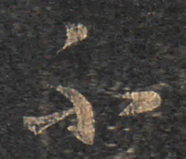 王羲之·草书·不