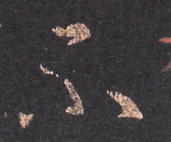 王羲之·草书·不