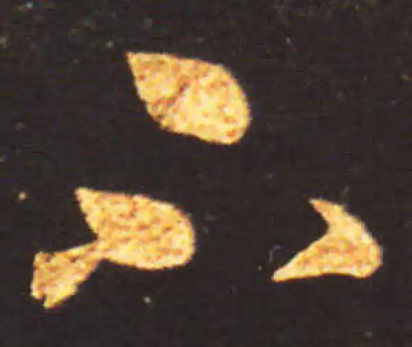 王献之·草书·不