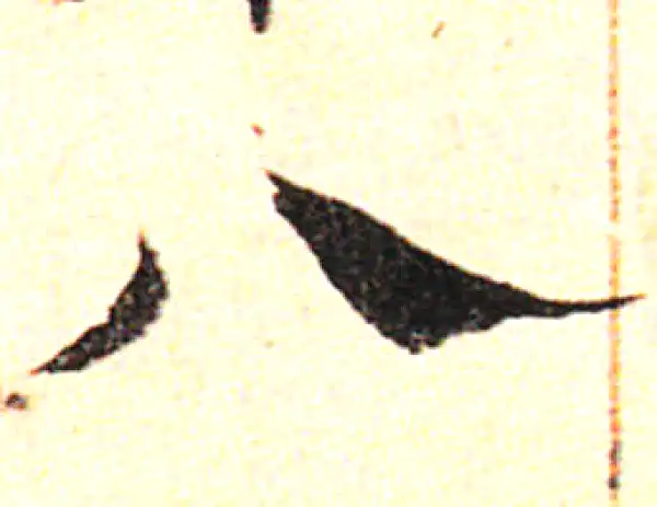 邓文原·草书·八