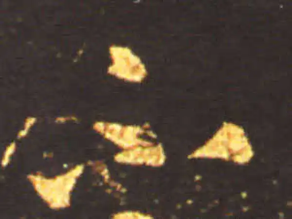 王献之·草书·不