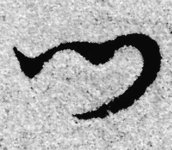 赵孟頫·草书·门