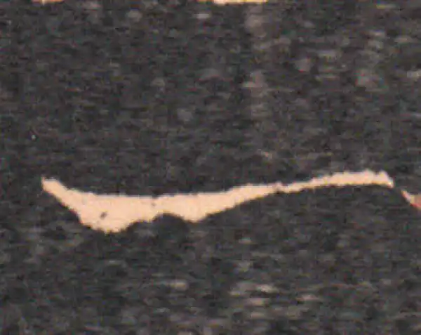 王羲之·草书·一