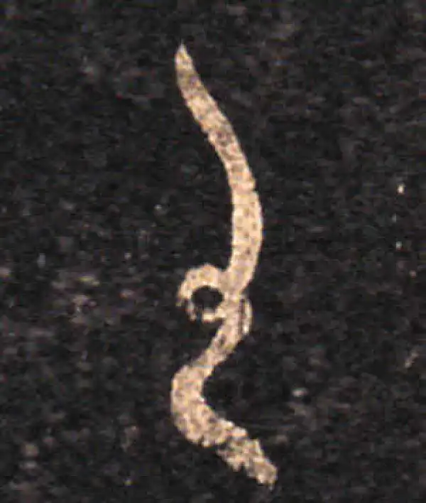 王羲之·草书·王