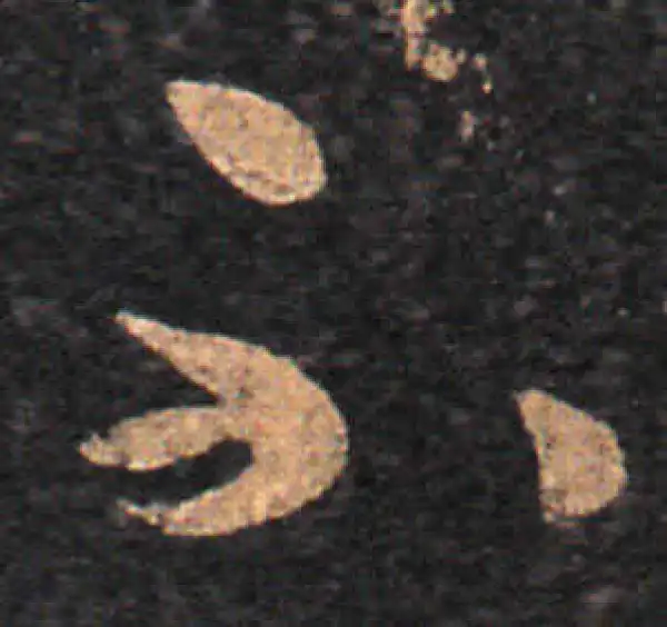 王羲之·草书·不