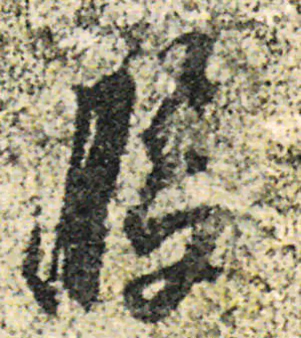 杨凝式·草书·腹