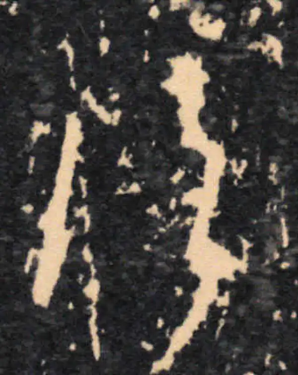 王羲之·草书·飲