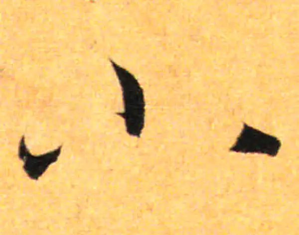 孙过庭·草书·小