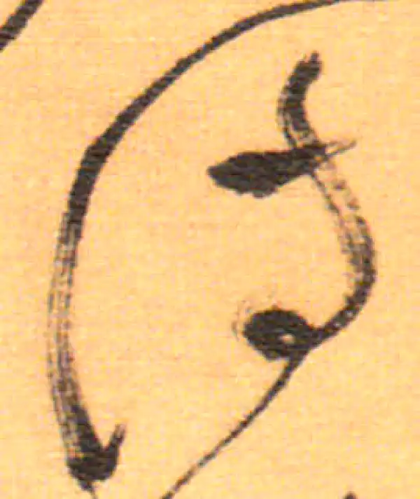 祝允明·草书·詩