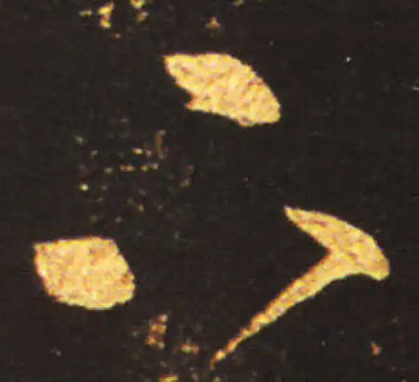 王献之·草书·下