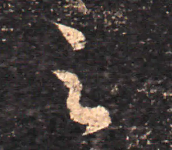 王羲之·草书·足