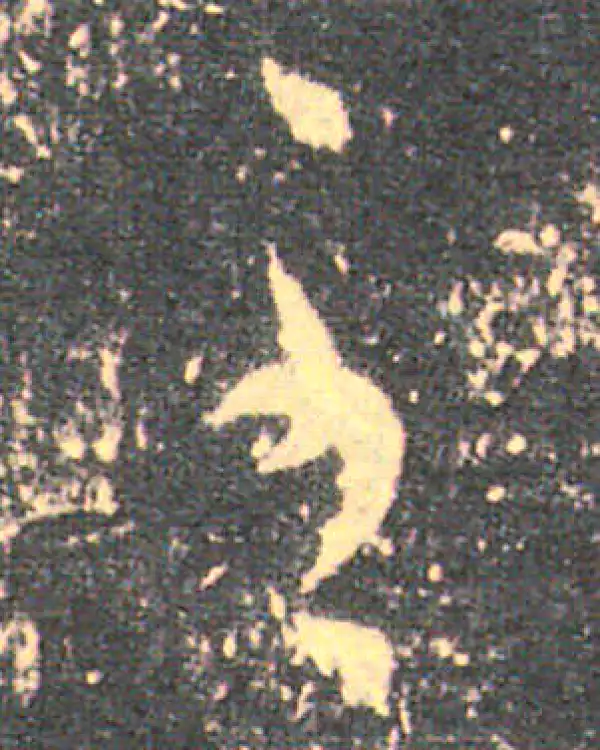 王羲之·草书·至