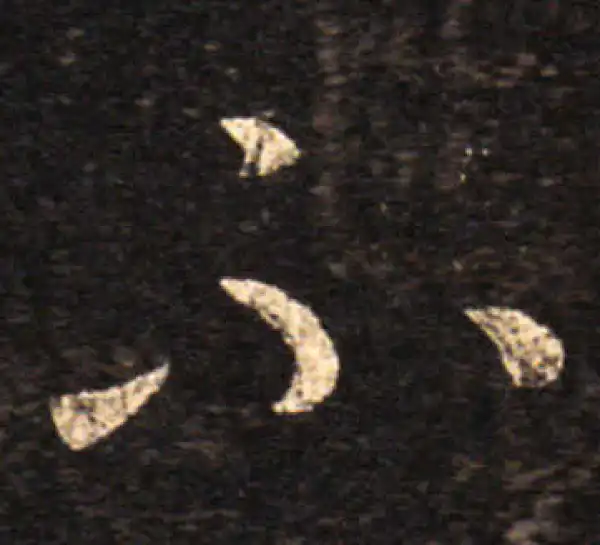 王羲之·草书·不