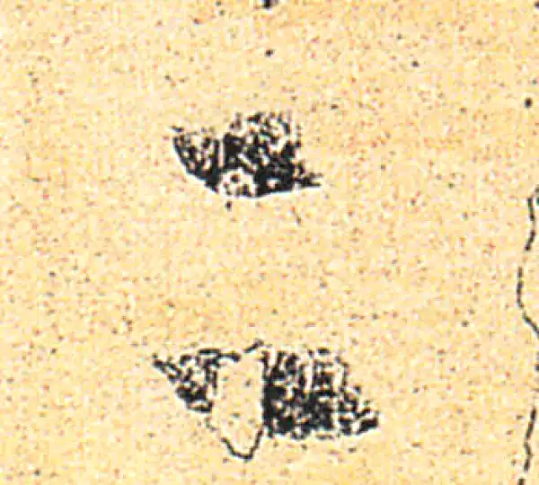 王羲之·草书·二