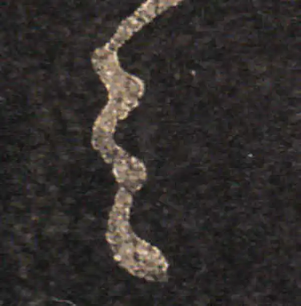 王羲之·草书·之