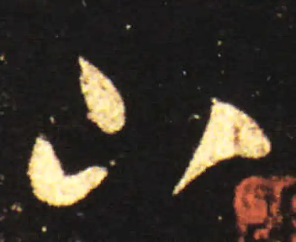 王献之·草书·山