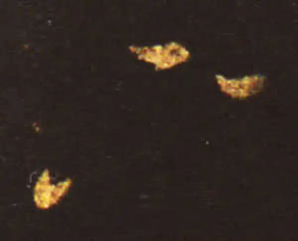 王献之·草书·下