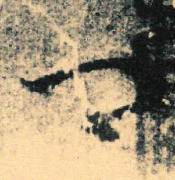 王羲之·草书·卿