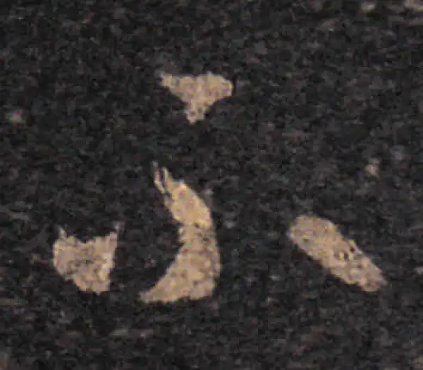 王羲之·草书·不