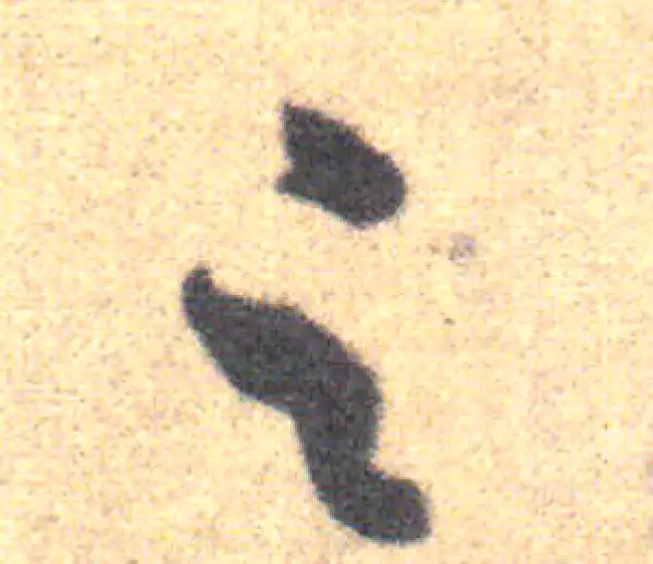 王羲之·草书·足