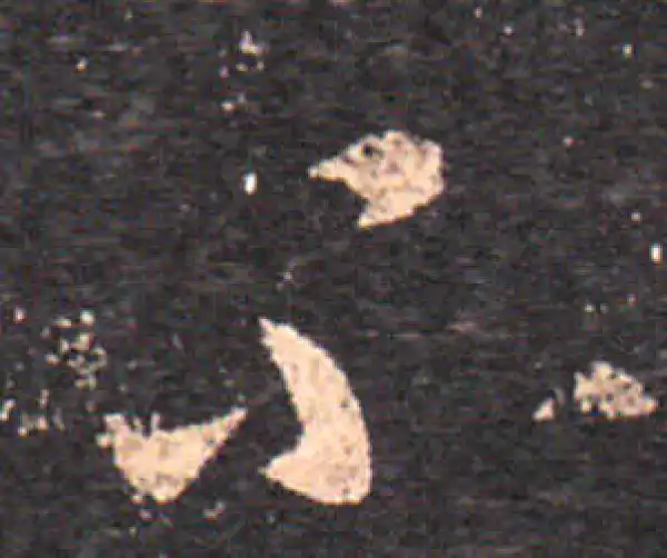 王羲之·草书·不