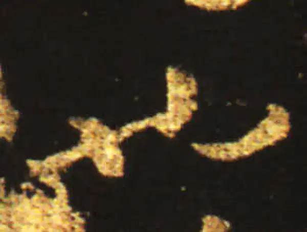 王献之·草书·也