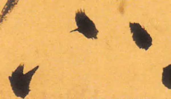 祝允明·草书·下