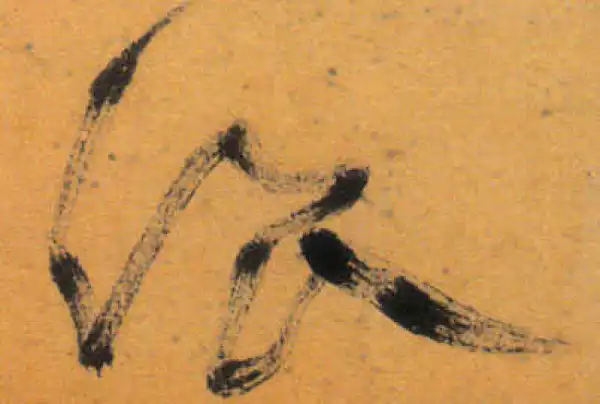 文徵明·草书·浪