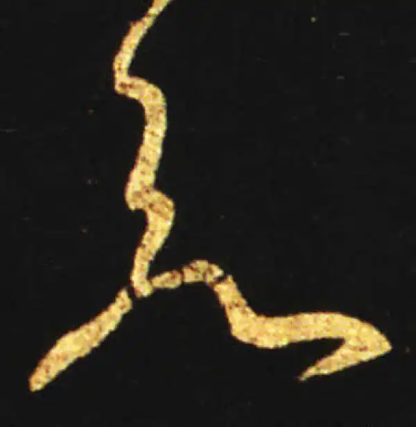 王献之·草书·若