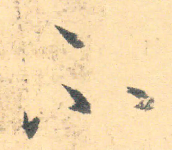 王羲之·草书·不