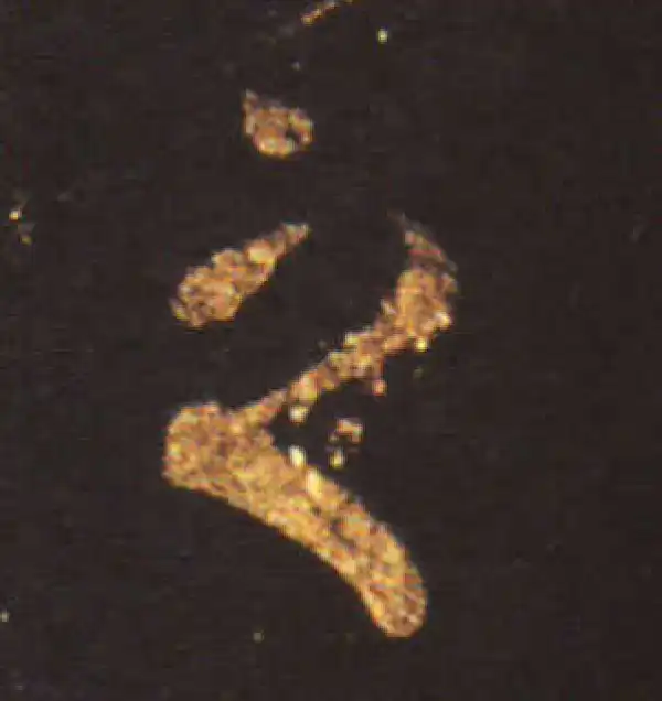 王献之·草书·之