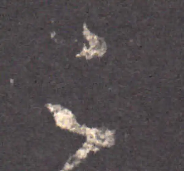 王羲之·草书·足