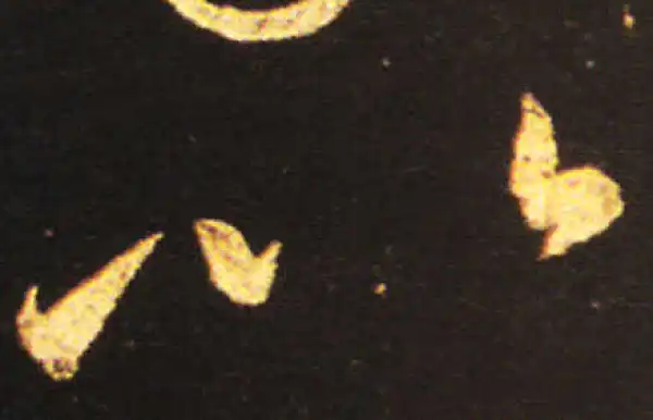 王献之·草书·以