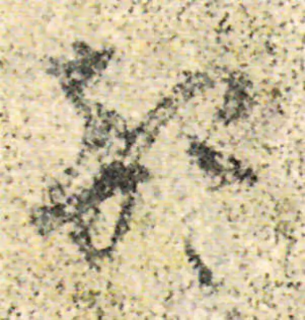 杨凝式·草书·部