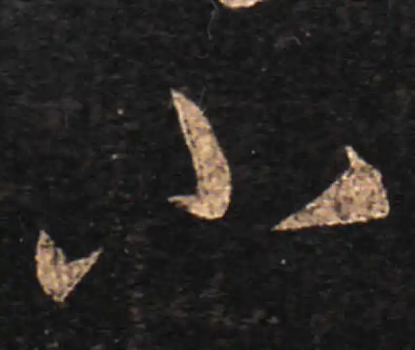 王羲之·草书·小