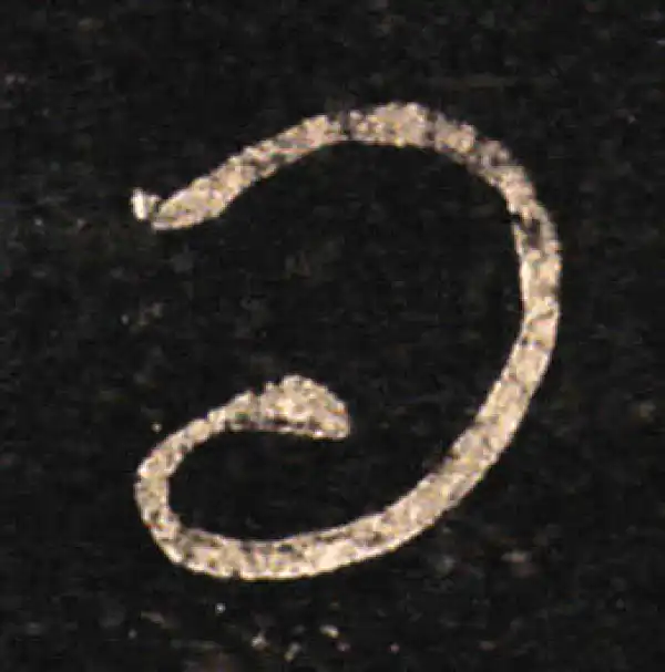 王羲之·草书·问