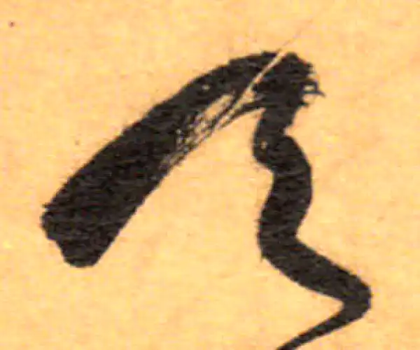 祝允明·草书·天