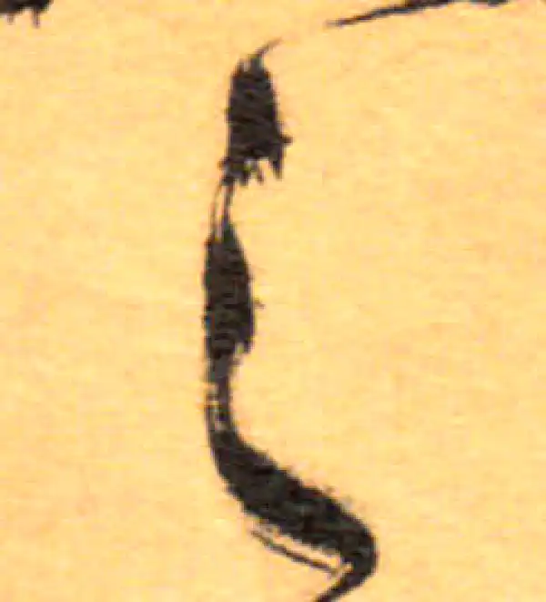 祝允明·草书·之