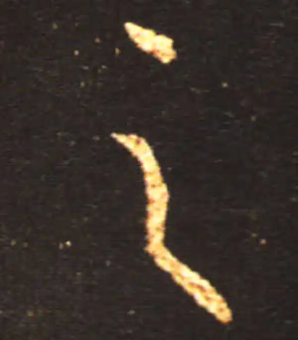 王献之·草书·之