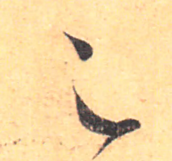 王羲之·草书·足