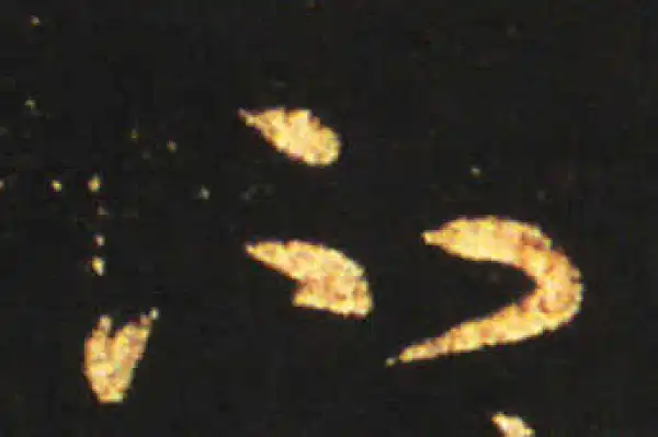 王献之·草书·不