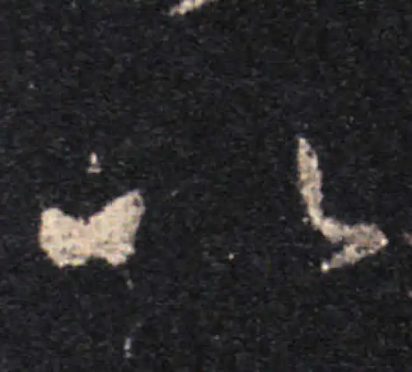 王羲之·草书·以