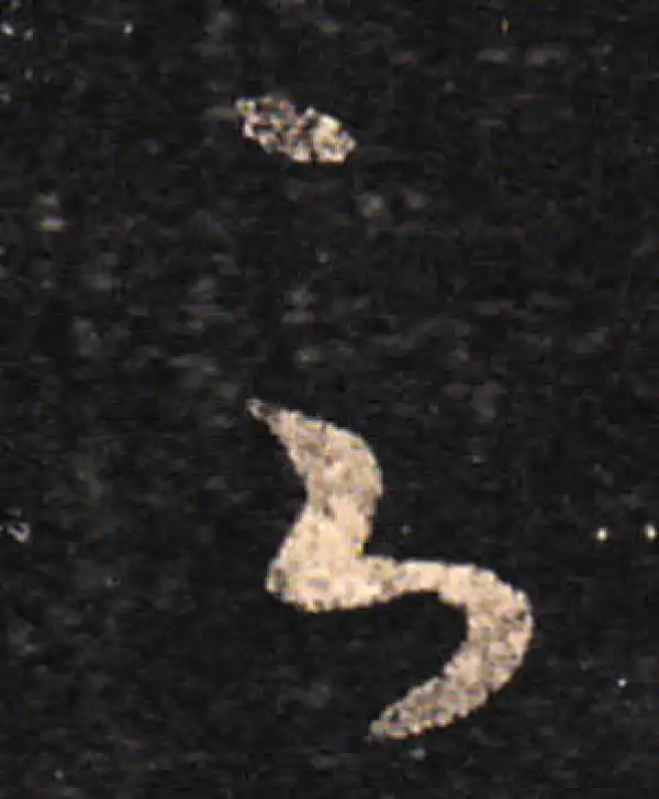 王羲之·草书·雲