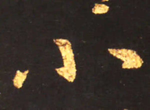 王献之·草书·小