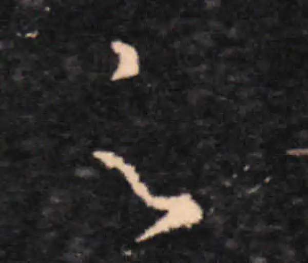 王羲之·草书·足