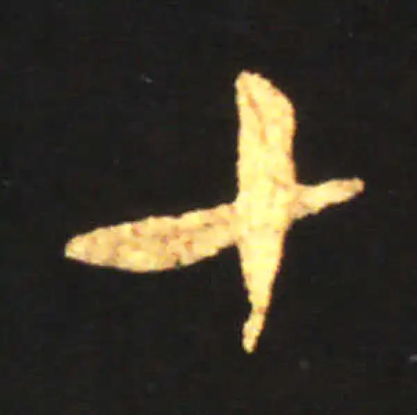 王献之·草书·十