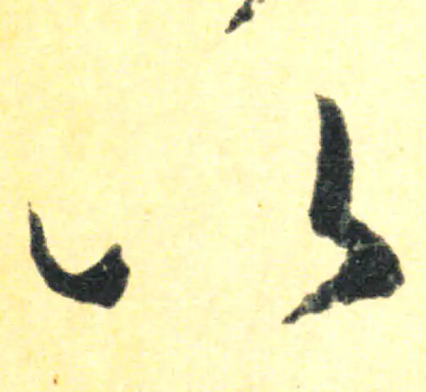 王羲之·草书·以